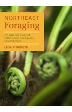 Northeast Foraging: 120 Wild and Flavorful Edibles from Beach Plums to Wineberries