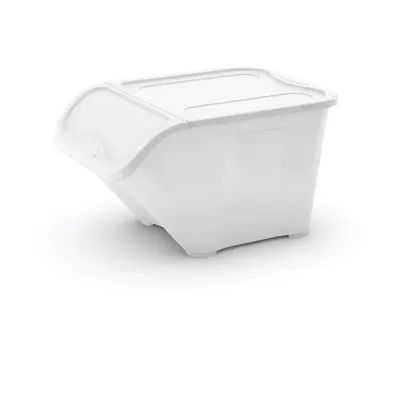 Cutie de depozitare albă din plastic cu capac 55x39x32 cm All In Box – KIS