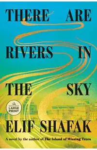 There Are Rivers in the Sky