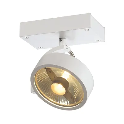 Corp iluminat TAVAN, Kalu de perete Luminita GU10, alb capac singur, QPAR111, rotund, alb mat, max. 75 W