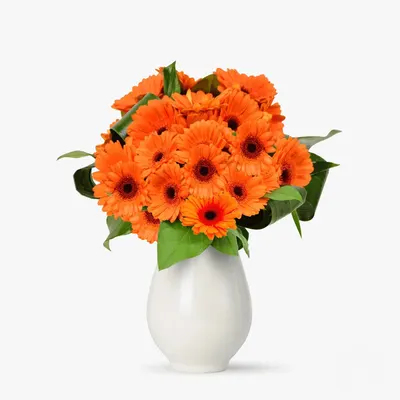 Buchet de 21 gerbera portocalii