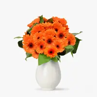 Buchet de 21 gerbera portocalii