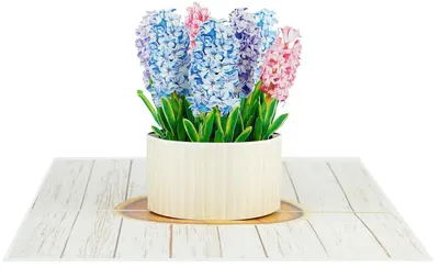 Felicitare Kiriori Pop-up - Zambilă