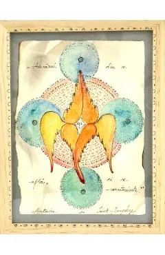Ilustratie inramata. Model 6: Adevarul