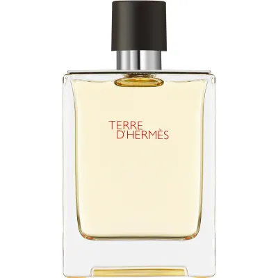 HERMÈS Terre d’Hermès Eau de Toilette pentru bărbați 100 ml