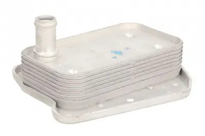 Termoflot Radiator Ulei (80x35x142) Mercedes Clasa C (cl203), C T-Model (s203), C T-Model (s204), C (w203), C (w204), Clc (cl203), Clk (c209), E T-Model (s210), E T-Model (s211), E (vf210), E (vf211)
