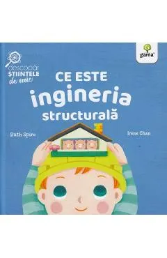 Ce este ingineria structurala. Descopar stiintele de mic