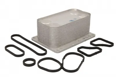 Termoflot Radiator Ulei (69x58x139, cu Garnitura) Nissan Primastar, Qashqai I, X-Trail; Opel Vivaro A; Renault Espace Iv, Grand Scenic Ii, Grand Scenic Iii, Koleos I, Laguna, Laguna Ii, Laguna Iii 2.0