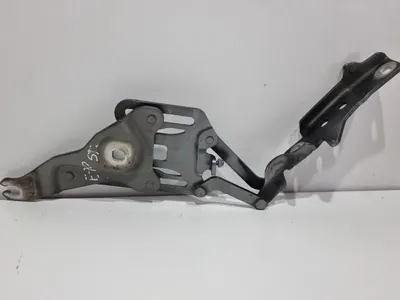 Balama capota stanga fata culoare gri - spacegrau metallic (a52) 7148347 BMW X5 (2007-2013) [E70]