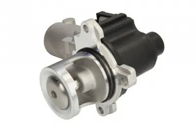 Supapa Egr Audi A4, A4 Allroad, A5, A6, A6 Allroad, Q5, Q7; Porsche Cayenne; Vw Touareg 2.7d 3.0d 6.0d Dupa 2004