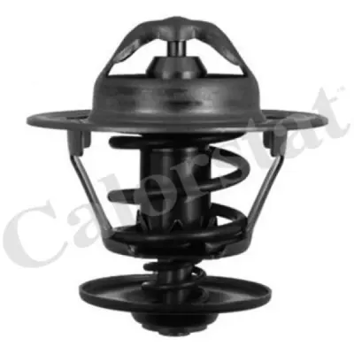 Termostat, lichid racire CALORSTAT by Vernet TH5151.87J
