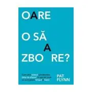 Oare o sa zboare? Cum sa-ti testezi urmatoarea idee de afacere, in asa fel incat sa nu-ti pierzi timpul si banii