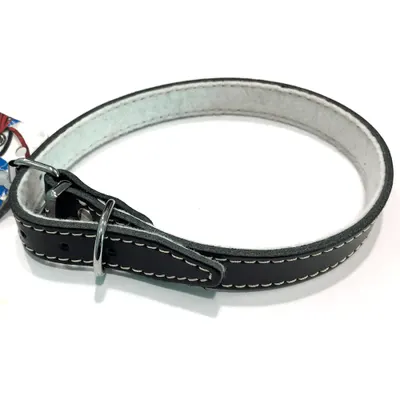 Zgarda din piele, neagra, rezistenta, 22 mm x 550 mm