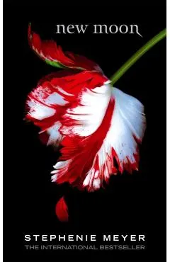 New Moon