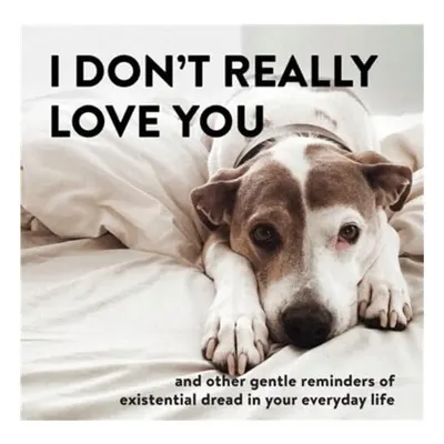 I Don't Really Love You