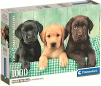Puzzle Clementoni din 1000 piese - Trei Labradori
