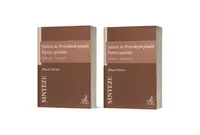 Sinteze de Procedură penală. Partea specială (Vol. I + Vol. II). Ediția 6 - Paperback brosat - Mihail Udroiu