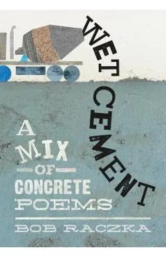 Wet Cement: A Mix of Concrete Poems
