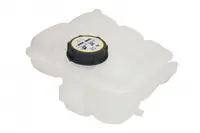 Vas Expansiune Racire (cu Priza) Potrivit Ford C-Max, C-Max Ii, Focus Iii, Kuga Ii, Tourneo Connect V408 Nadwozie Wielko, Transit Connect, Transit Connect V408 Minivan 02.07-
