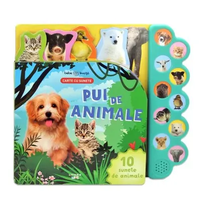Pui de animale - Board book