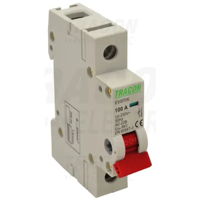 Intrerupator general TIK1-63 1P, 63A