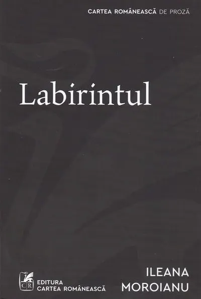 Labirintul - Paperback brosat