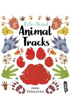 Life-Sized Animal Tracks