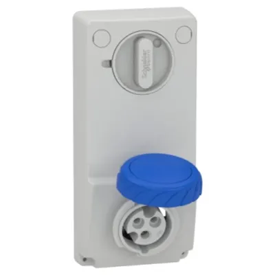 Priza Unica cu Interblocare, 16 A, 2P + E, 200, 250 V Ac, Ip65, Panou
