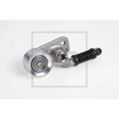 Intinzator curea, curea distributie PE Automotive 010.596-00A