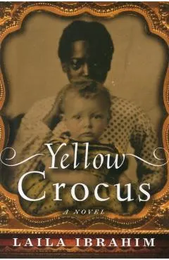 Yellow Crocus