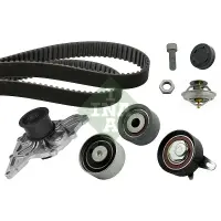 Set pompa apa+curea dintata INA 530 0416 31