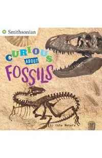 Curious about Fossils