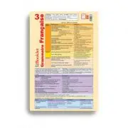 Plansa Grammaire Francaise 3