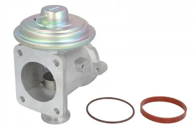 Supapa EGR BMW Seria 1 (E87), 3 (E90), 3 (E91), 3 (E92), 3 (E93), 5 (E60), 5 (E61), 7 (E65, E66, E67), X3 (E83), X5 (E53), X5 (E70) 2.0D 2.5D 3.0D intre 2002-2013