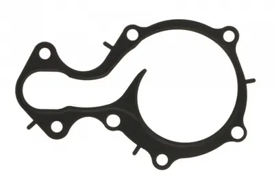 Garnitura Pompa Apa Potrivit Ford B-Max, C-Max Ii, Ecosport, Fiesta Vi, Fiesta Vii, Focus Iii, Focus Iii Hatchback, Focus Iii Kombi, Focus Iv, Grand C-Max, Mondeo V 1.0-1.1lpg 02.12