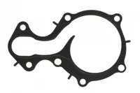Garnitura Pompa Apa Potrivit Ford B-Max, C-Max Ii, Ecosport, Fiesta Vi, Fiesta Vii, Focus Iii, Focus Iii Hatchback, Focus Iii Kombi, Focus Iv, Grand C-Max, Mondeo V 1.0-1.1lpg 02.12-