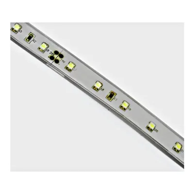 Marra LED, 4,8W/m, 60LEDs/m, albastru, 24VDC, IP65