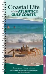 Coastal Life of the Atlantic and Gulf Coasts: Easily Identify Seashells, Beachcombing Finds, and Iconic Animals