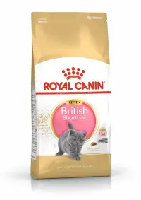 Royal Canin British Shorthair Kitten hrana uscata pisica junior 2kg