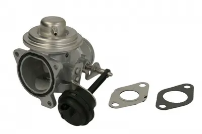 Supapa Egr Potrivit Seat Cordoba, Ibiza Iii, Leon; Skoda Fabia I, Fabia I Praktik, Octavia I, Octavia I Kombi; Vw Golf Iv, New Beetle, Polo; Multicar Tremo 1.9d 09.96