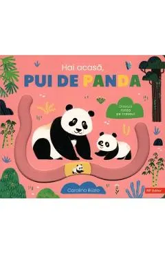 Hai acasa, pui de panda