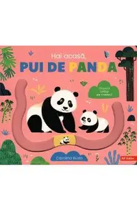 Hai acasa, pui de panda