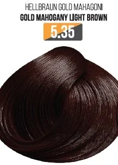 Vopsea Profesionala Fara Amoniac EVOQUE USA, Nuanta 5.35 GOLD MAHOGANI LIGHT BROWN - Cu Ulei de Argan si 12 Aminoacizi, 100 ml - Evoque
