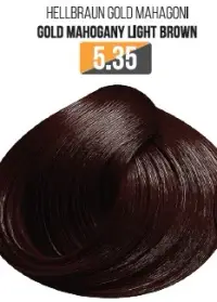 Vopsea Profesionala Fara Amoniac EVOQUE USA, Nuanta 5.35 GOLD MAHOGANI LIGHT BROWN - Cu Ulei de Argan si 12 Aminoacizi, 100 ml - Evoque