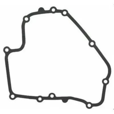 Garnitura Carter Briggs&stratton Dov 793445
