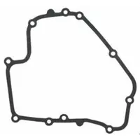 Garnitura Carter Briggs&stratton Dov 793445