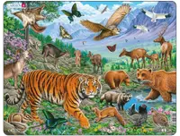 Puzzle 36 piese - Maxi - The Amur Tiger in Siberian Summer