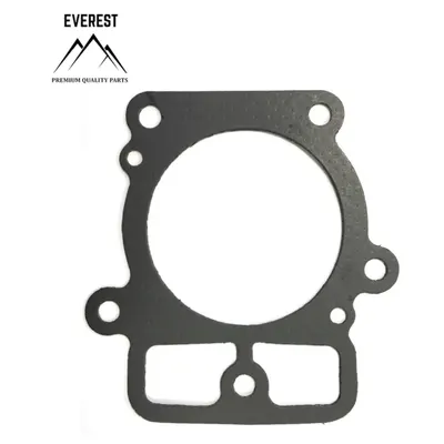 Garnitura Chiuloasa Briggs&stratton 2 Cylindru 20km-26km Everest