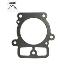 Garnitura Chiuloasa Briggs&stratton 2 Cylindru 20km-26km Everest