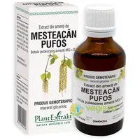 Extract din Amenti de Mesteacan Pufos 50ml
